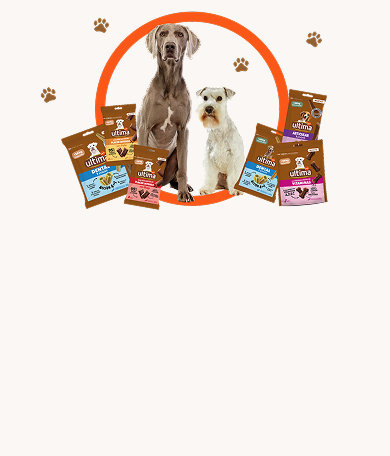 Landing snacks ES Banner snacks Desktop.png