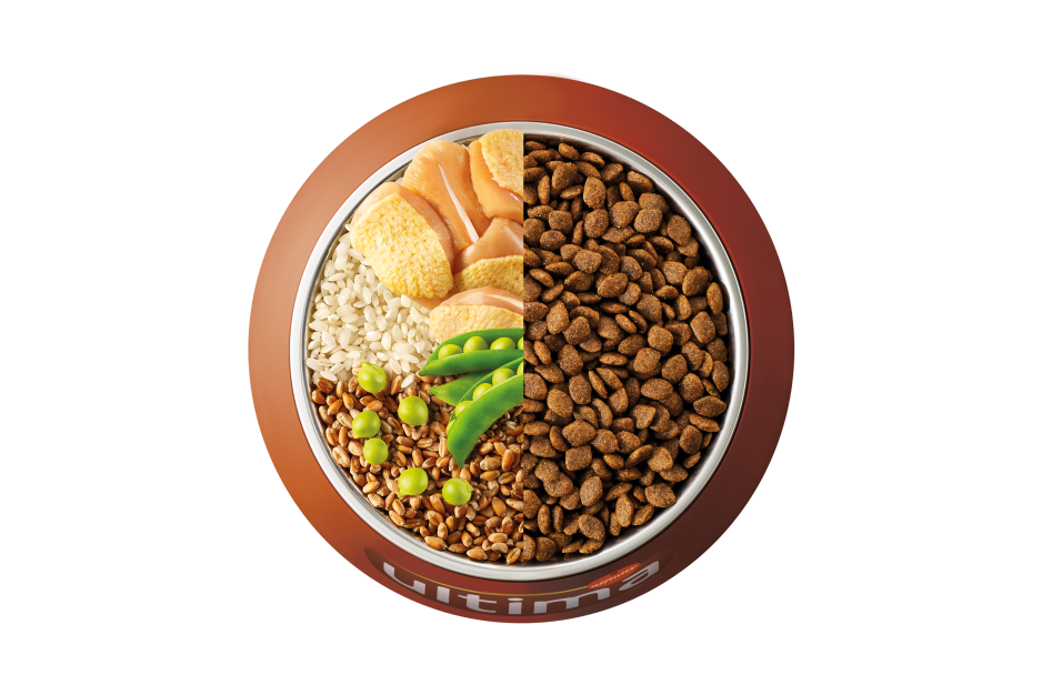 Bowl con ingredientes comida seca perro