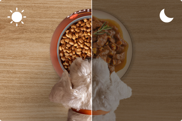 Perro peque&ntilde;o Salud y placer.png