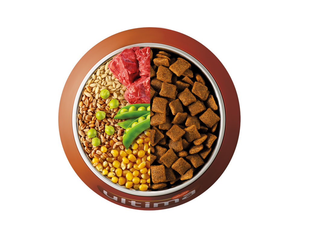 Buey, cebada, trigo integral y guisantes