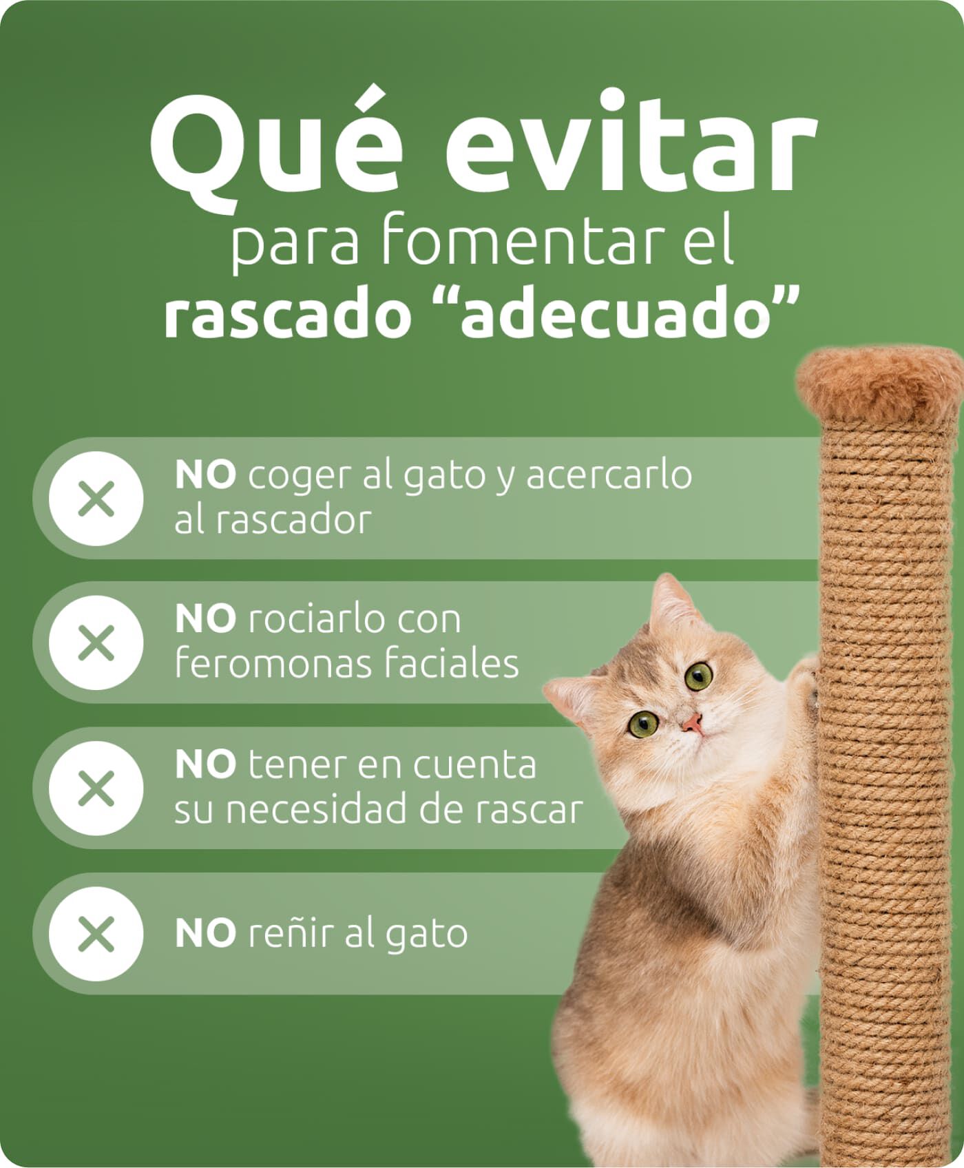 que evitar para fomentar el rascado adecuado