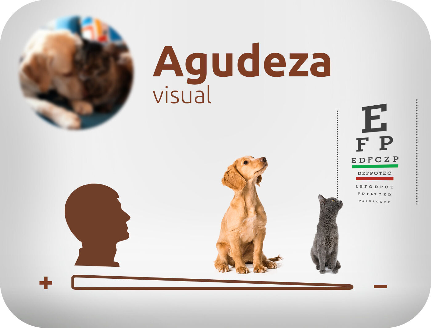 Agudeza visual