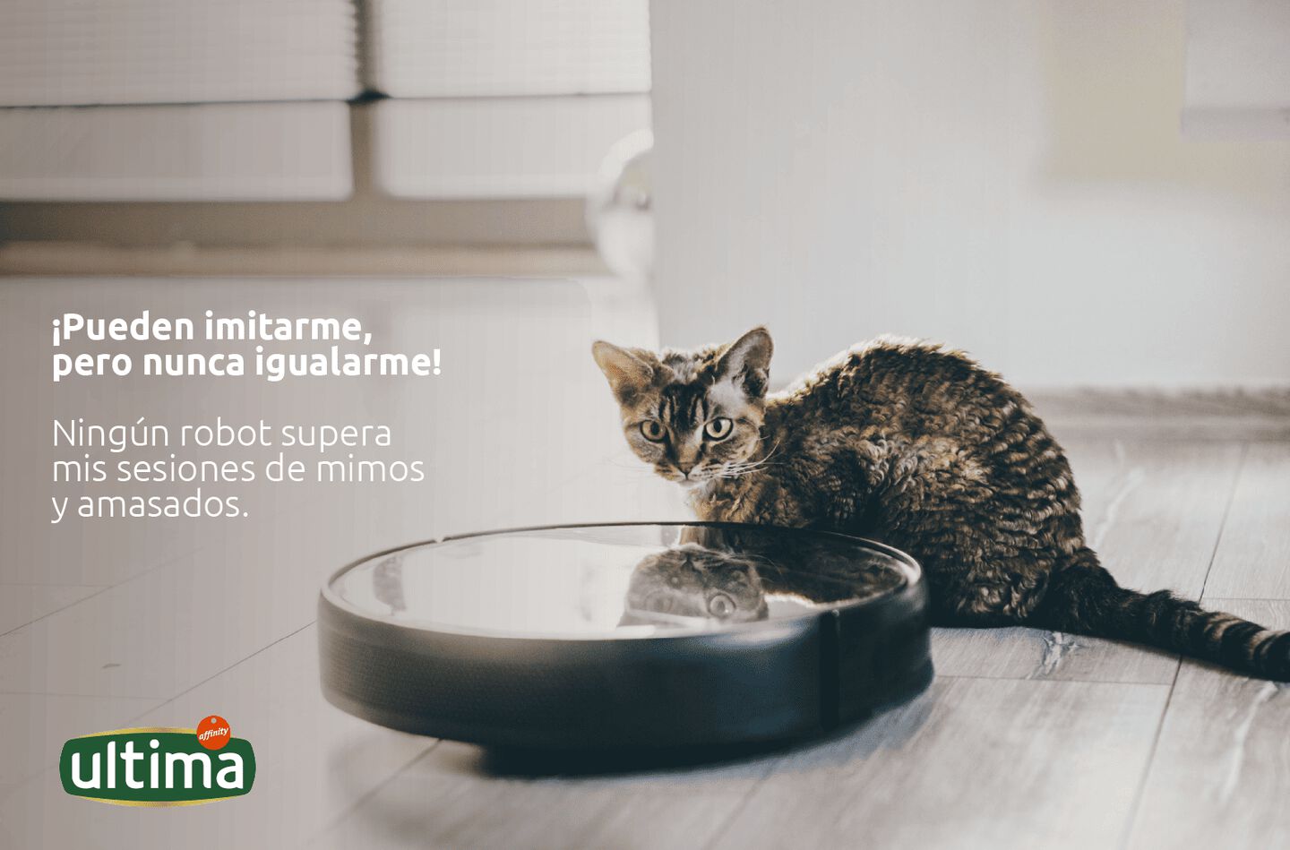 Fotografía de gato adulto mirando fijamente al frente con una roomba a su lado. Texto: ¡Pueden imitarme, pero nunca igualarme! Ningún robot supera mis sesiones de mimos y amasados