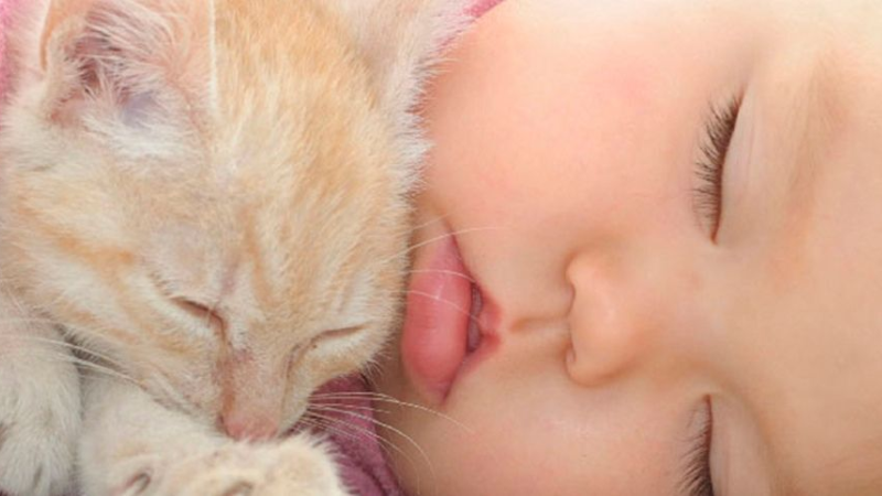 ART Convivencia gatos y beb&eacute;s.png