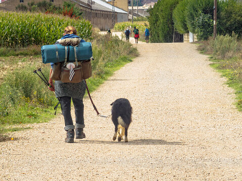 Chica caminando junto a su perro en el camino de Santiago