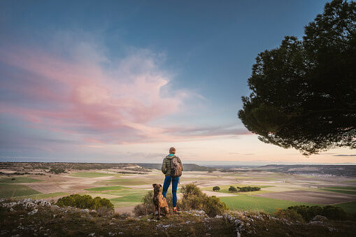 Pet parent con su perro contemplando el paisaje
