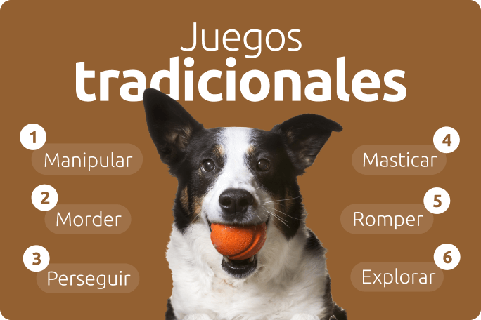 Juegos tradicionales para perros