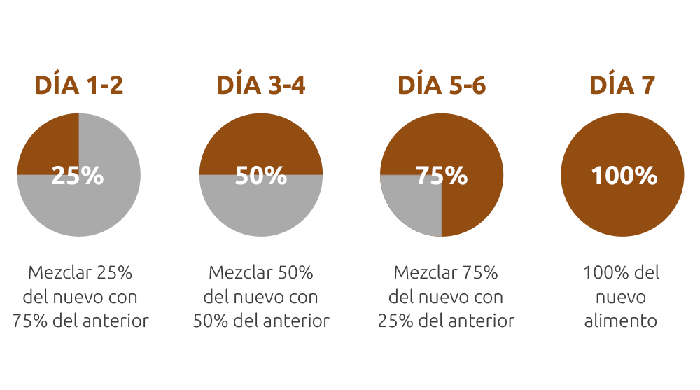 grafico comida