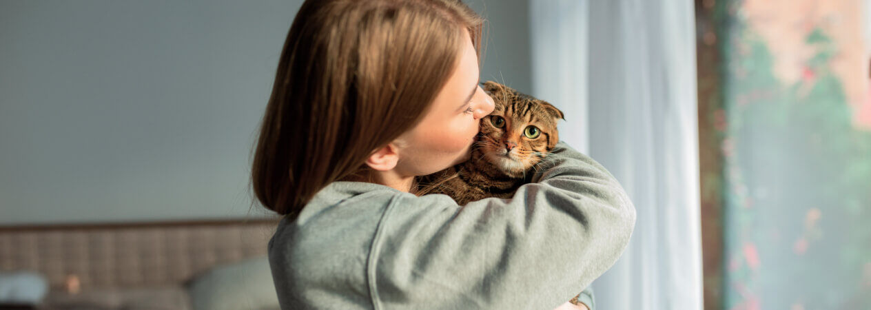 Todo lo que necesitas saber sobre la salud de un gato adoptado