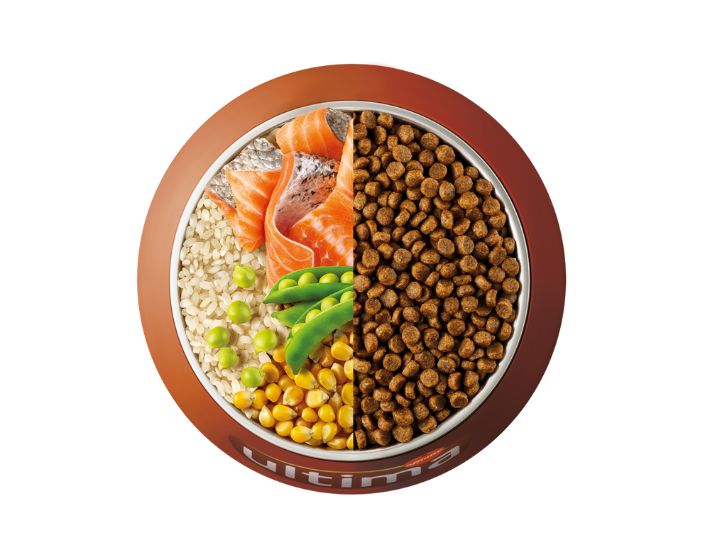 Salm&oacute;n, arroz y guisantes