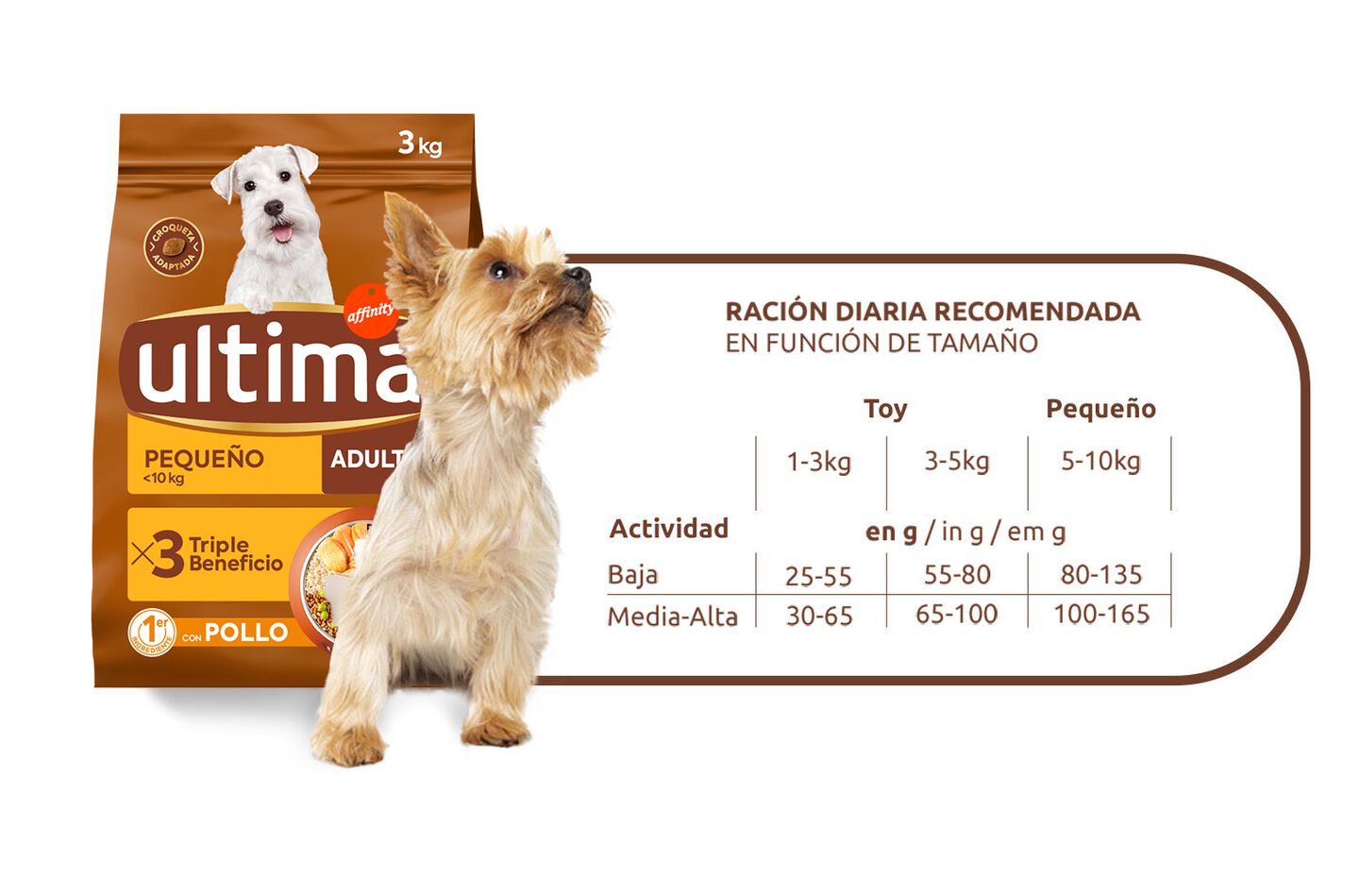 Raci&oacute;n diaria recomendada seg&uacute;n tama&ntilde;o