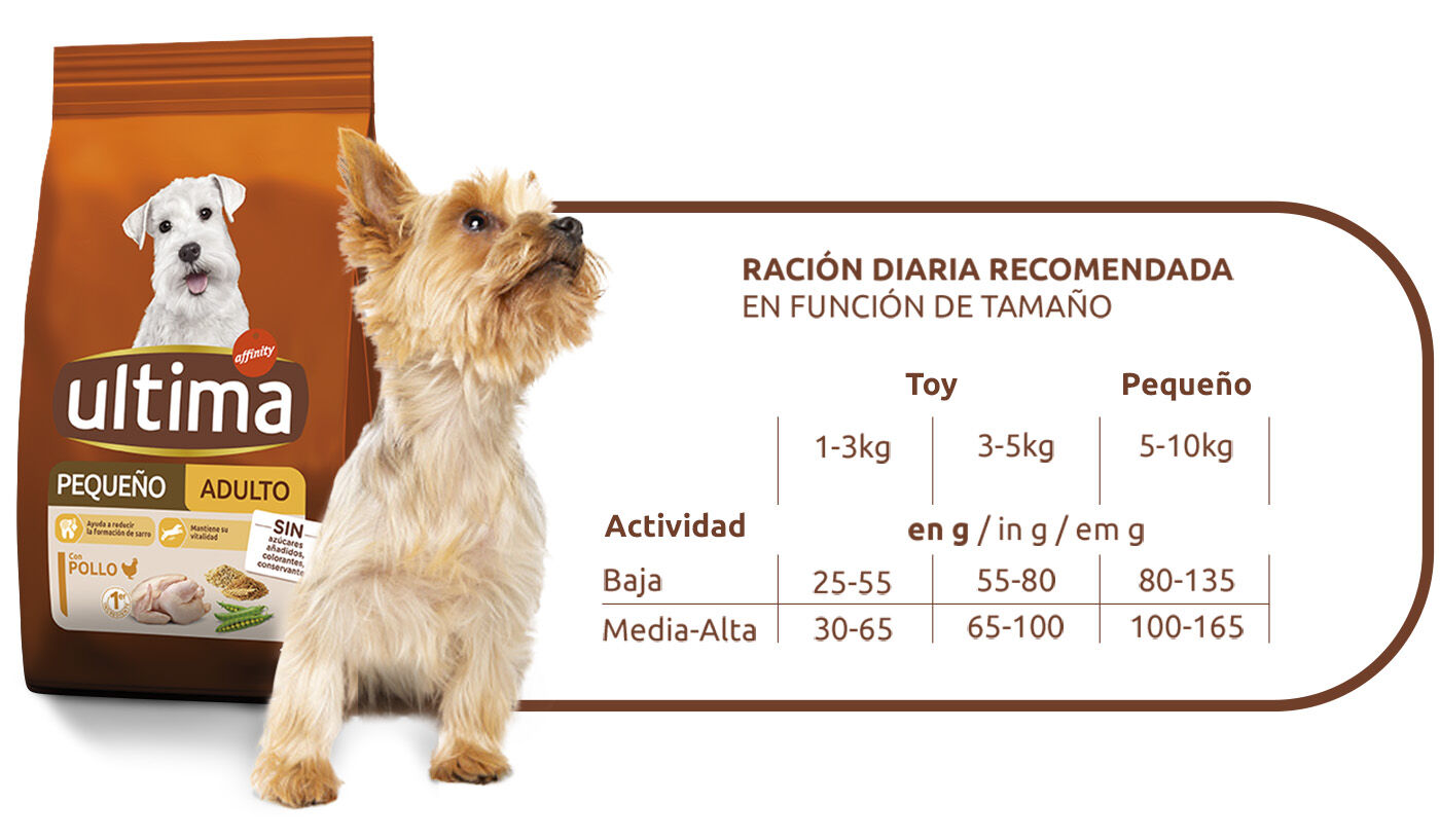 Ración diaria recomendada según tamaño
