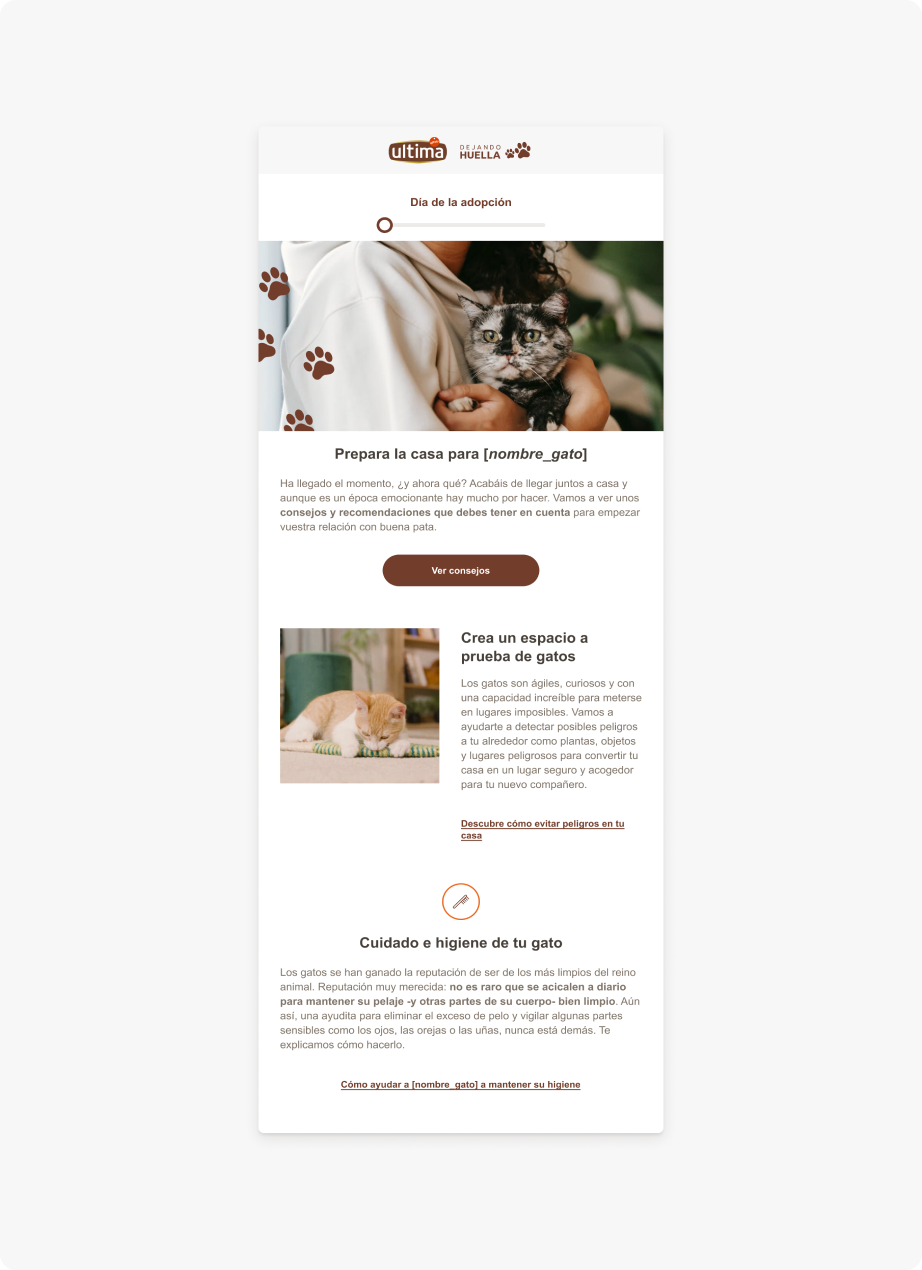 newsletters dejando huella