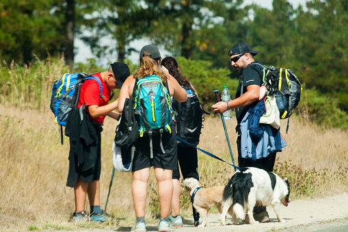 Grupo de peregrinos con sus perros