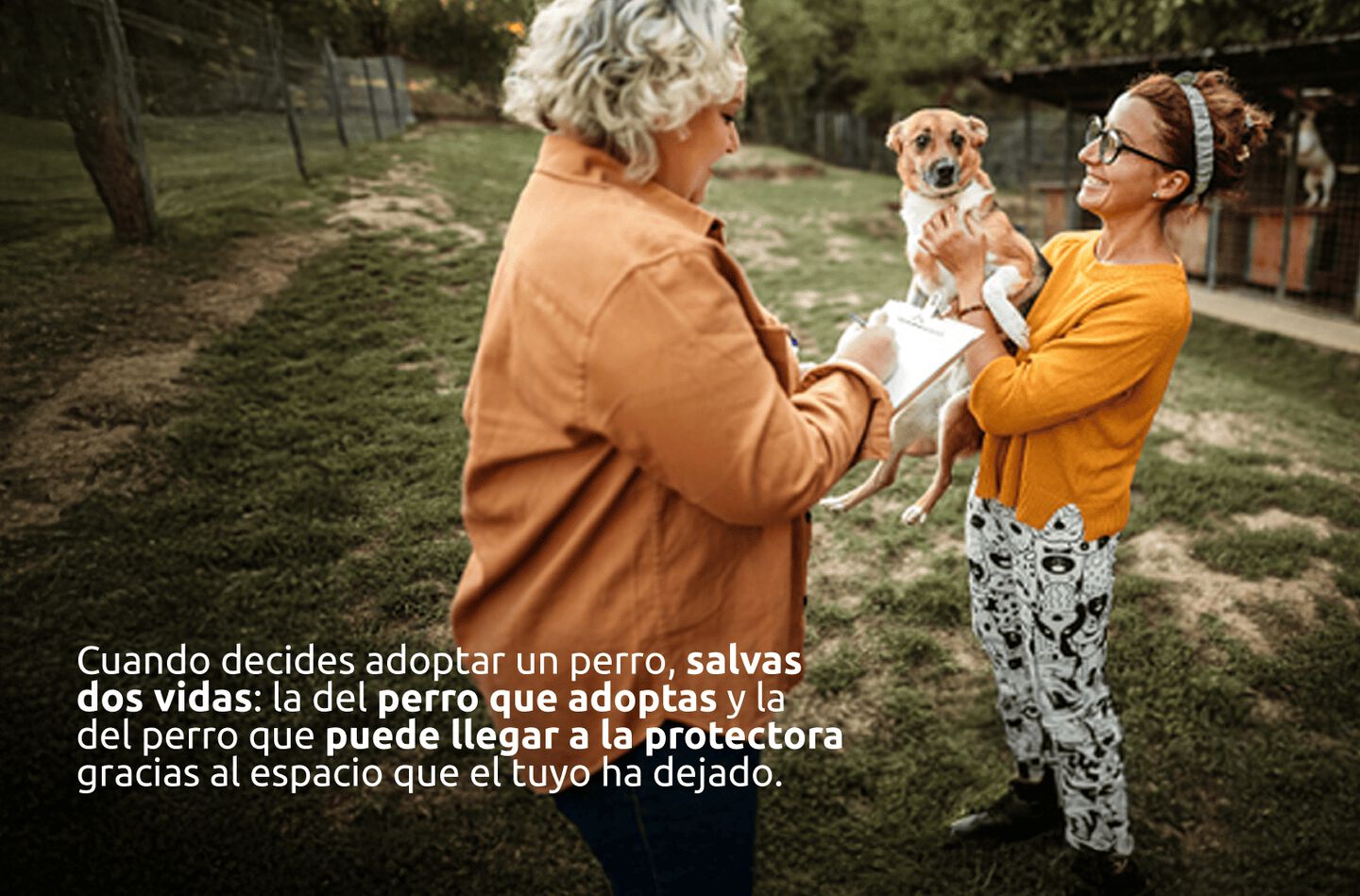 Adoptar un perro