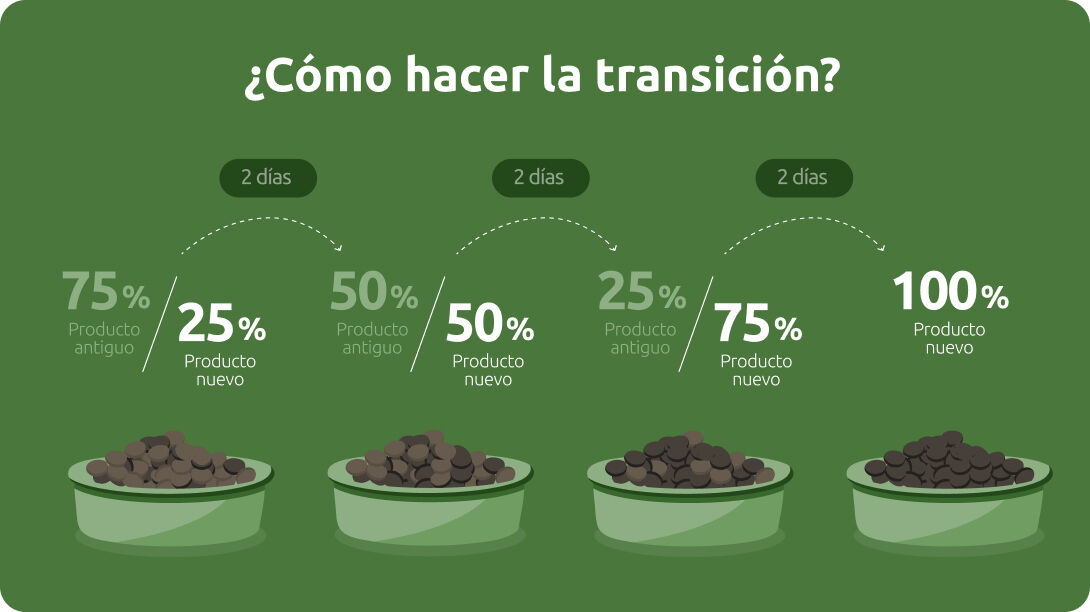 Transición cambio alimentación de tu gato