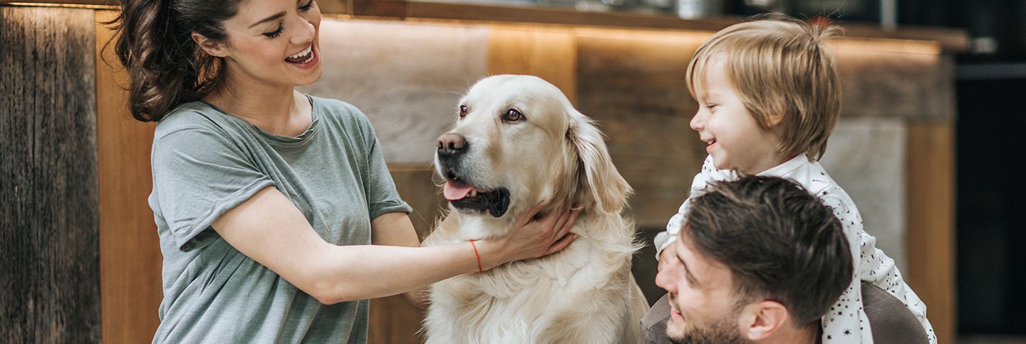 Qué edad tiene tu perro