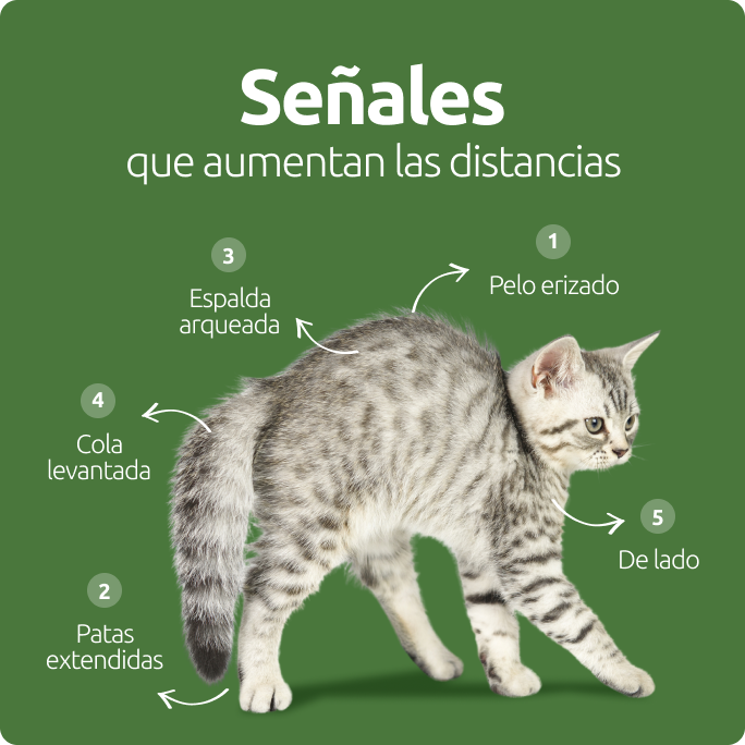 Señales que aumentan las distancias