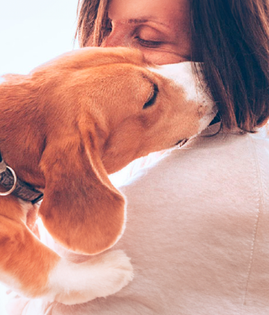 Image Link For El lenguaje de los perros: c&oacute;mo entendernos en cada situaci&oacute;n