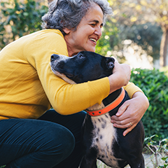 Image Link For Adoptar un perro senior: qué esperar y cómo brindarle un hogar seguro