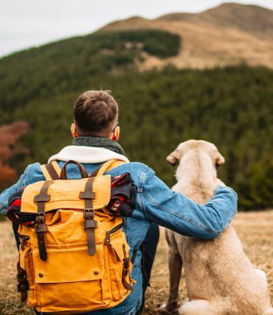 Image Link For Estas son las 5 rutas que puedes hacer este fin de semana con tu perro