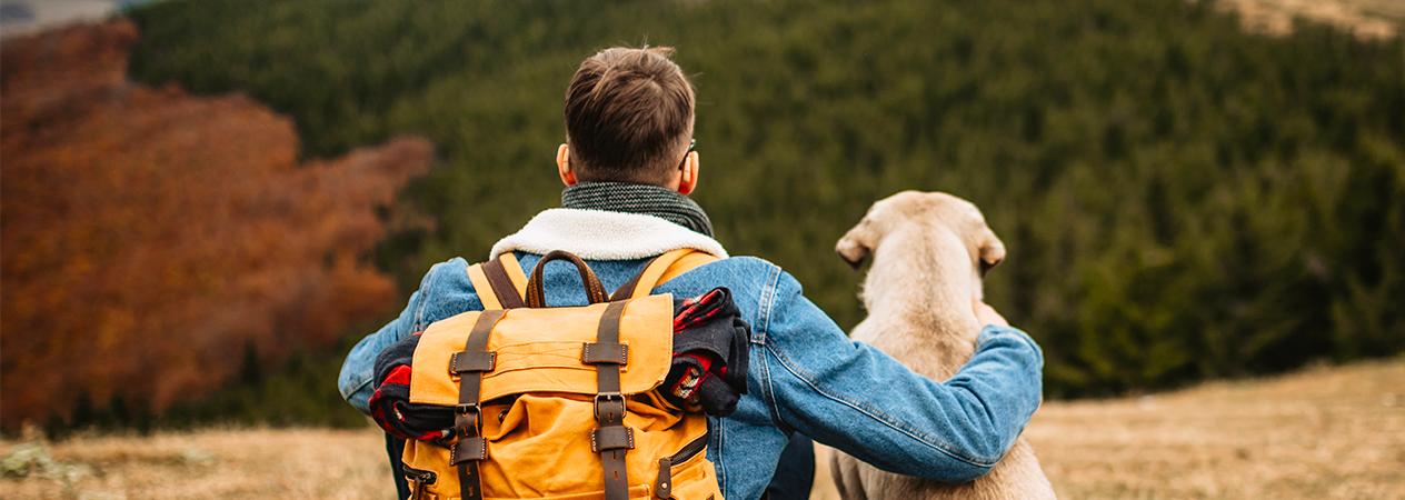 Image Link For Estas son las 5 rutas que puedes hacer este fin de semana con tu perro