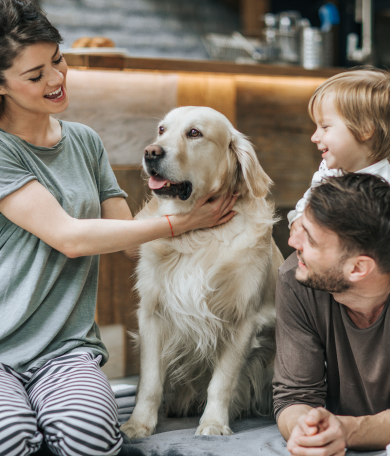 Image Link For Etapas de la vida de tu perro: desde cachorro hasta senior