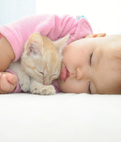 Image Link For Convivencia entre gatitos y beb&eacute;s reci&eacute;n nacidos