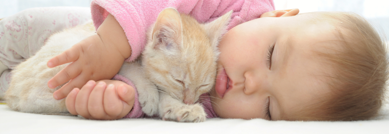 Image Link For Convivencia entre gatitos y beb&eacute;s reci&eacute;n nacidos