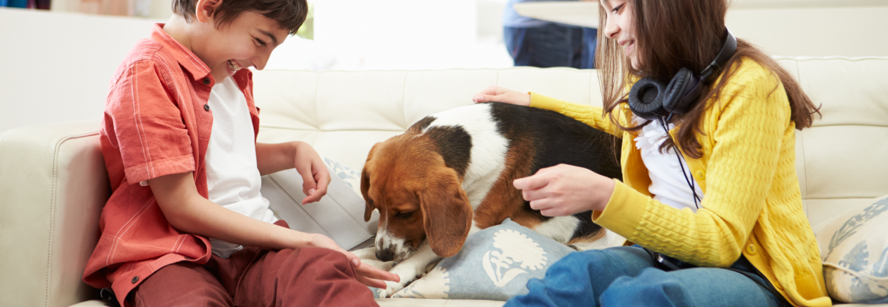 Image Link For Las mejores razas de perros para pisos