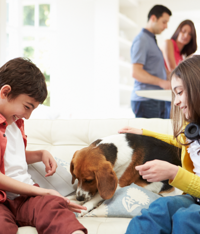 Image Link For Las mejores razas de perros para pisos