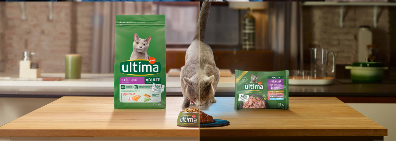 Image Link For Quelle quantité d’alimentation mixte ?