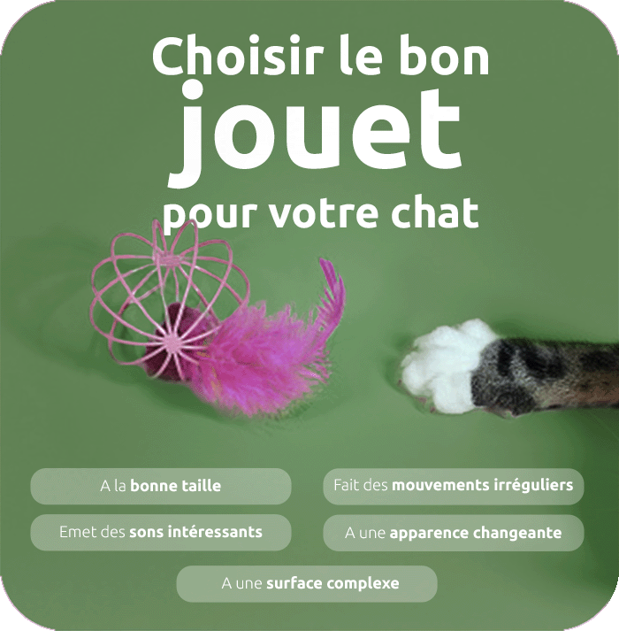 Choisir le bon jouet pour votre chat