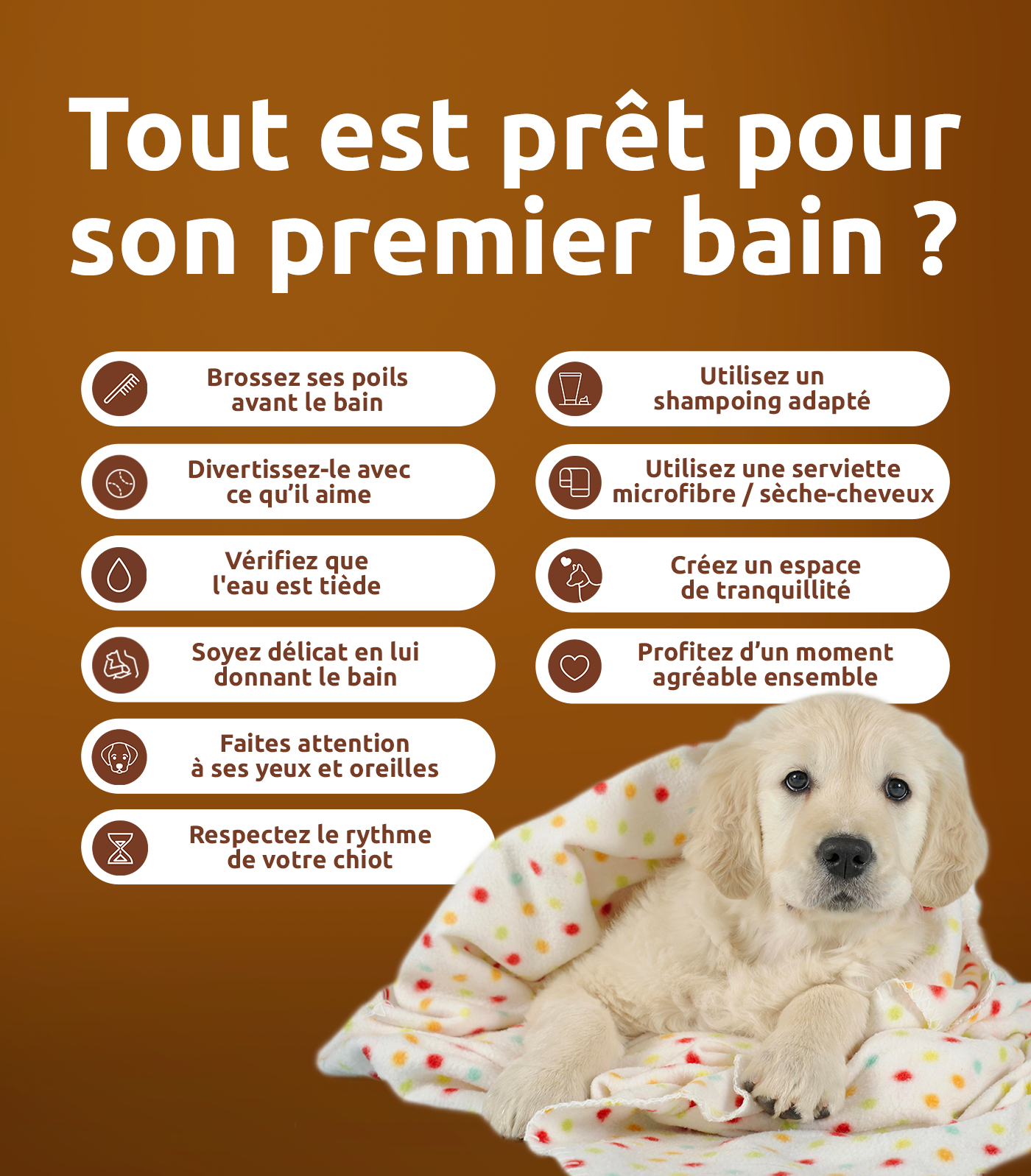 Premier bain chiot