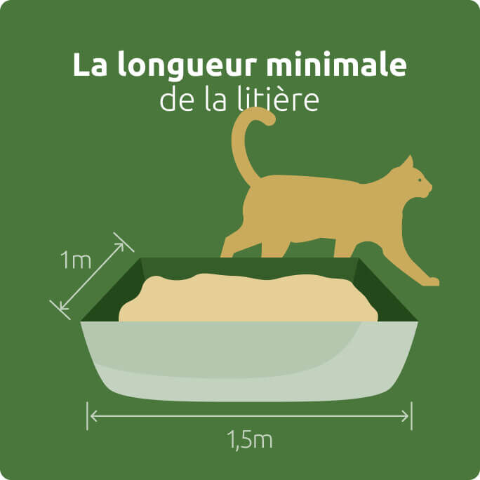 Longueur minimale de la litière
