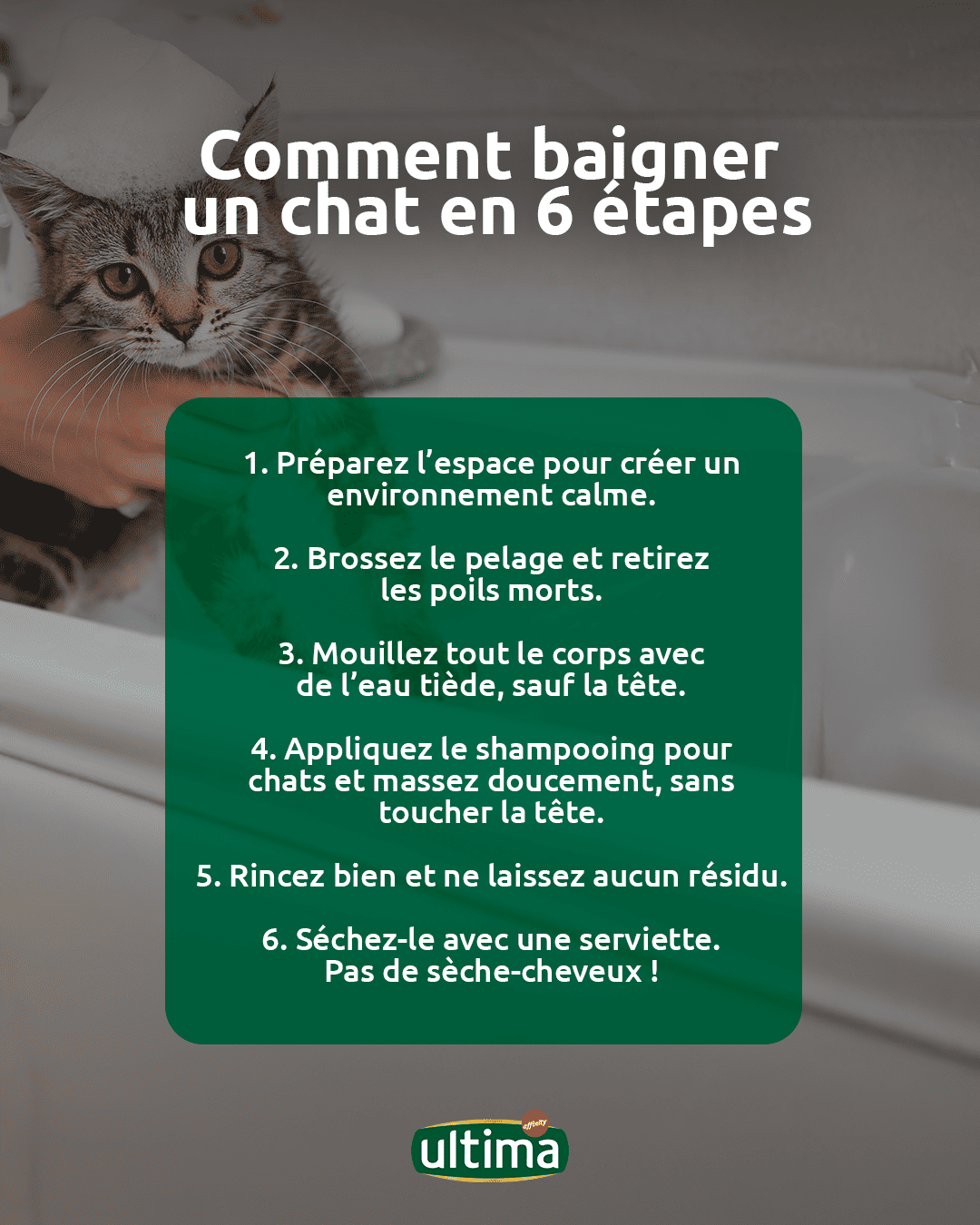 Infographie avec les &eacute;tapes pour baigner un chat et illustration d&rsquo;un chat regardant la baignoire.  Texte : &ldquo;Comment baigner un chat en 6 &eacute;tapes : 1. Pr&eacute;parez l&rsquo;espace pour cr&eacute;er un environnement calme. 2. Brossez le pelage et retirez les poils morts. 3. Mouillez tout le corps avec de l&rsquo;eau ti&egrave;de, sauf la t&ecirc;te. 4. Appliquez le shampooing pour chats et massez doucement, sans toucher la t&ecirc;te. 5. Rincez bien et ne laissez aucun r&eacute;sidu. 6. S&eacute;chez-le avec une serviette. Pas de s&egrave;che-cheveux !