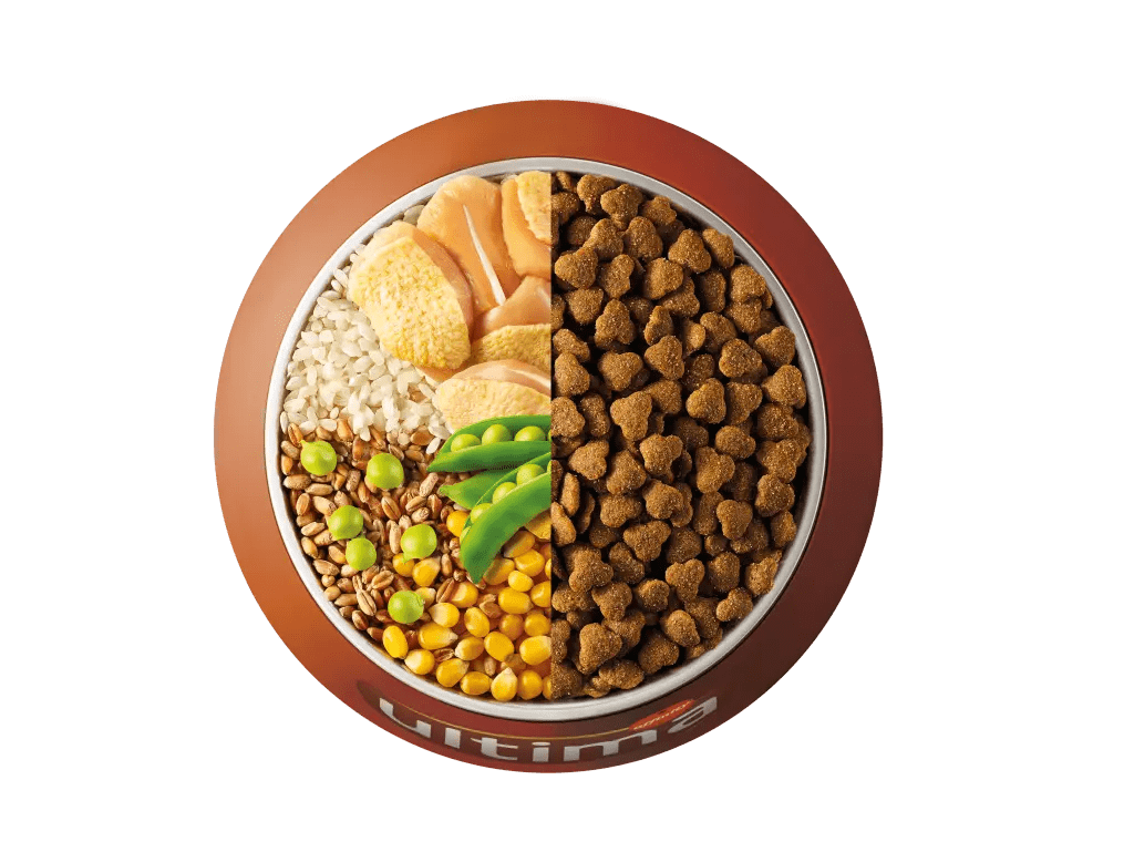 Poulet, riz, c&eacute;r&eacute;ales compl&egrave;tes et pois