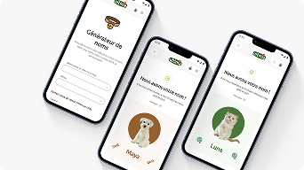 Libreria de nombres desktop FR.png