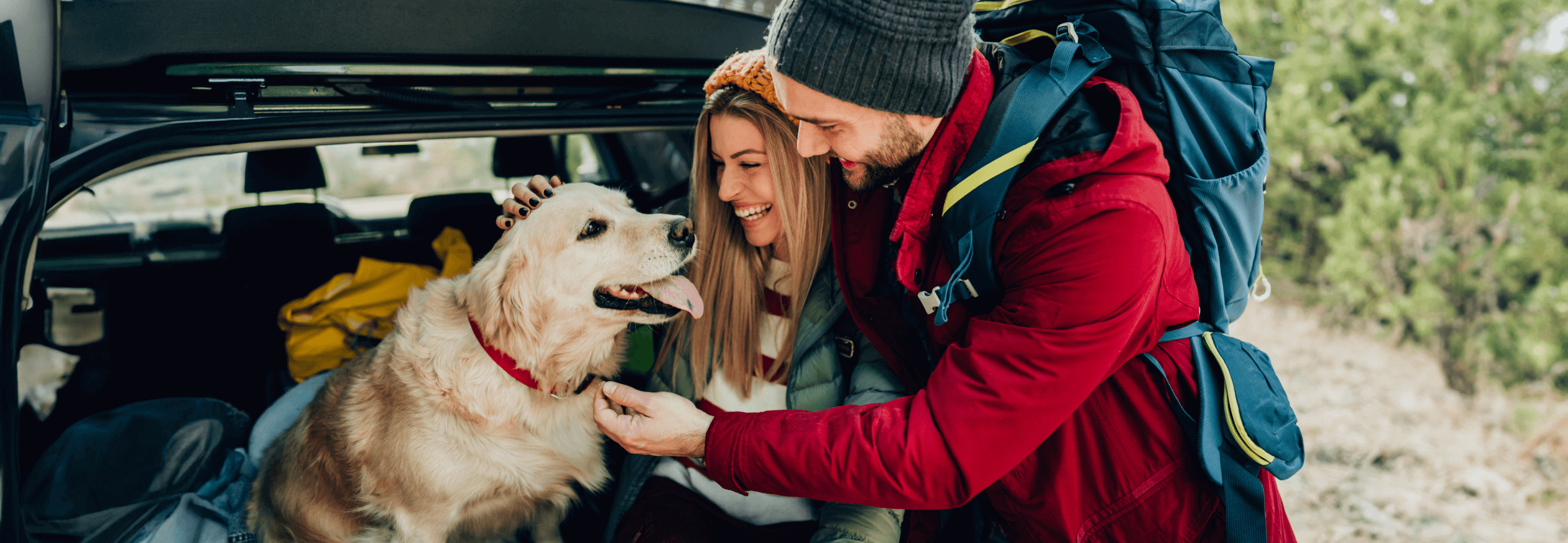 Image Link For Partir en vacances avec ou sans son chien