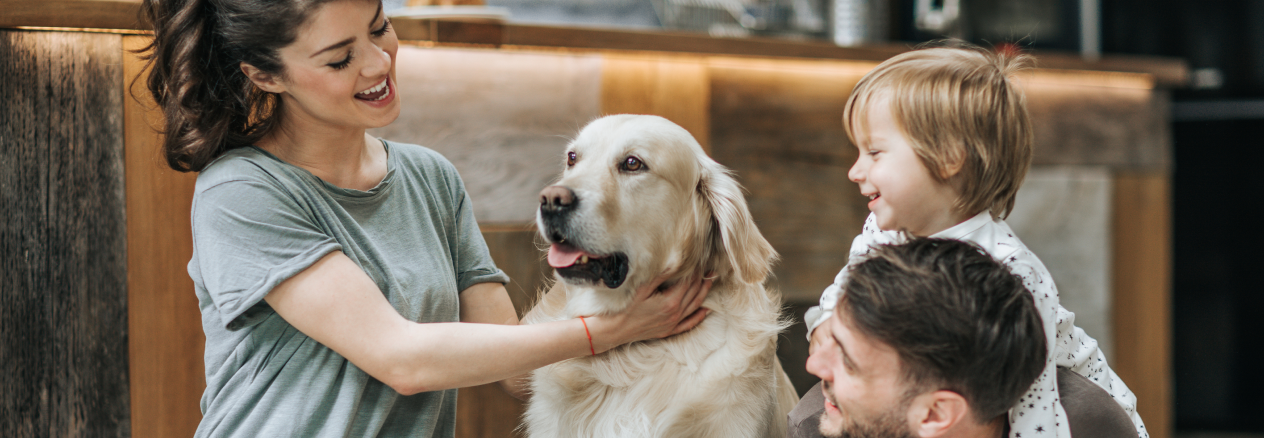 Quel âge a votre chien