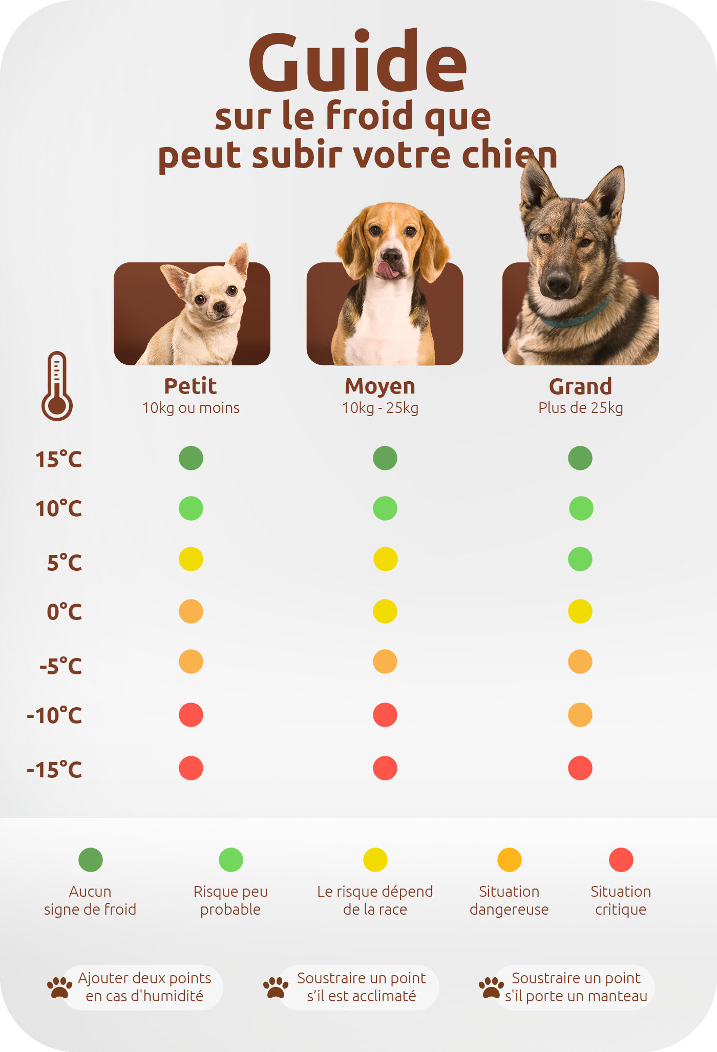 guide sur le froid que peut subir votre chien