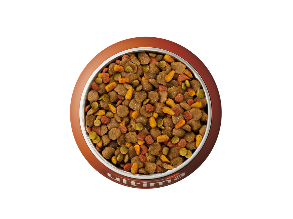 Au poulet, aux carottes, aux pois, au riz et aux c&eacute;r&eacute;ales compl&egrave;tes