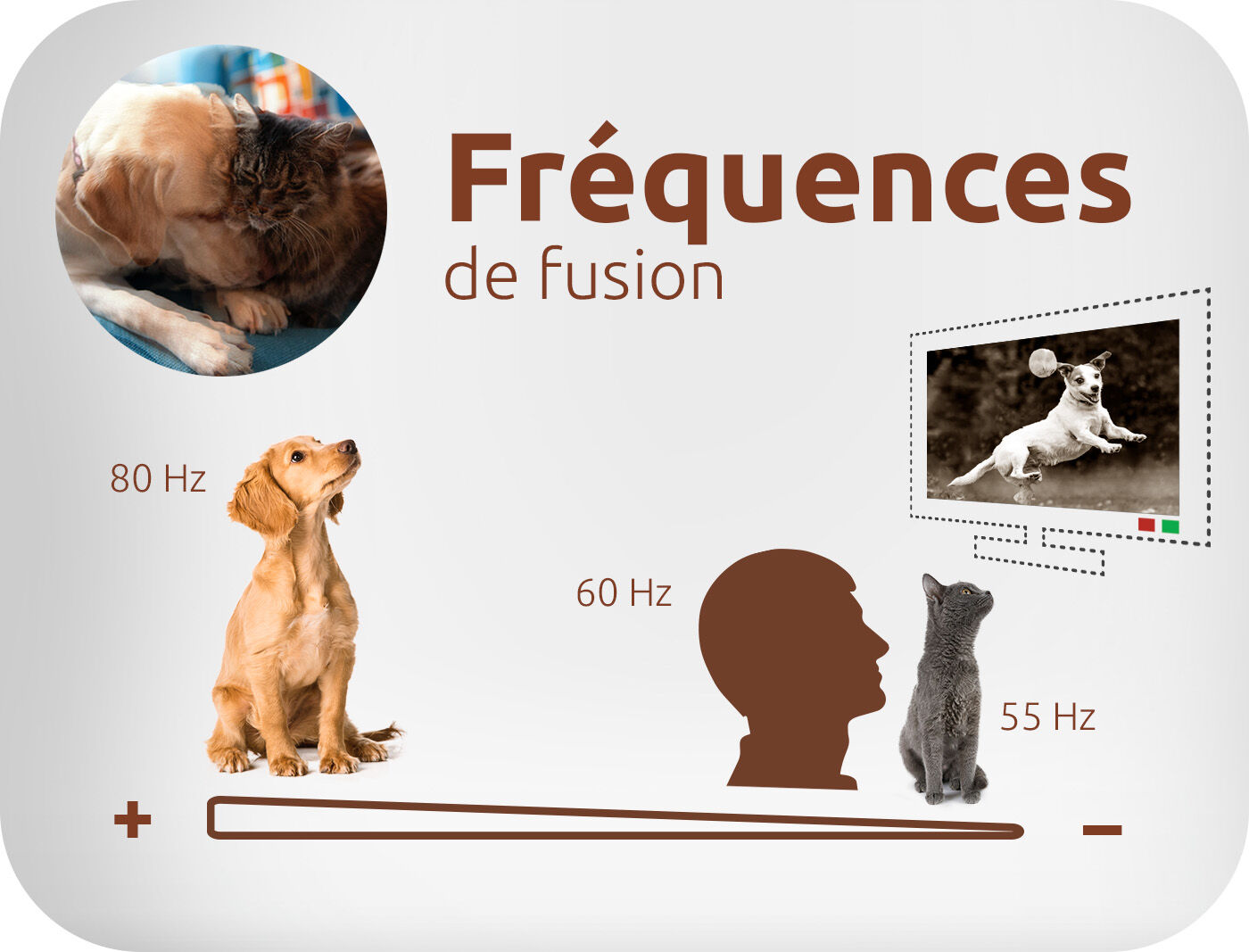 fréquences de fusion