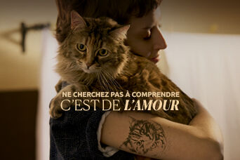 Une femme serre son chaton dans ses bras