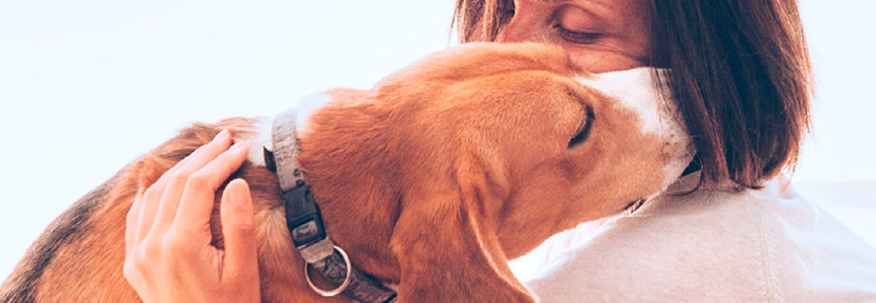 femme tenant un chien