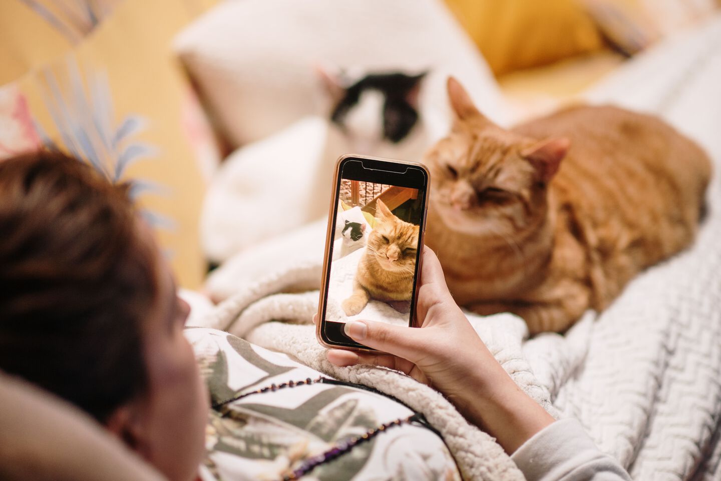 Une femme prend une photo de son chat avec son smartphone