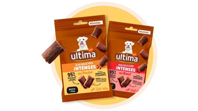 friandises intenses