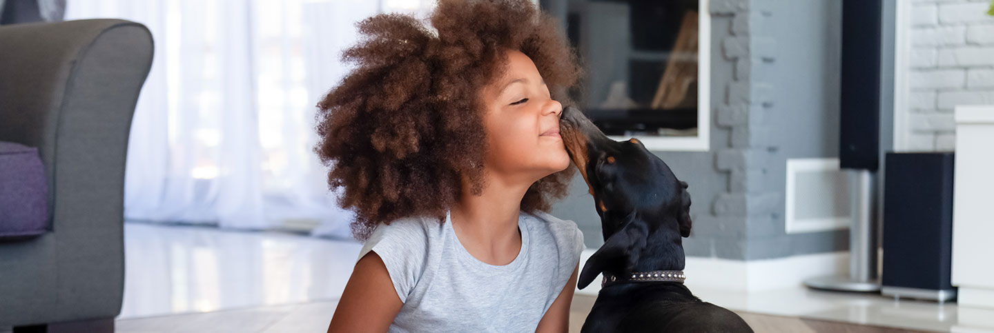 10 races de petits chiens qui nous font craquer