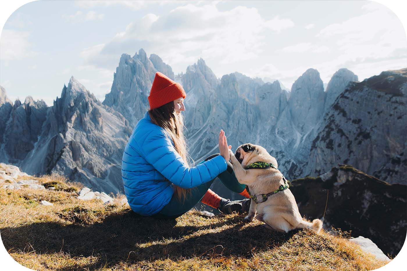 Où que vous alliez avec votre chien, n’oubliez pas...