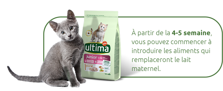 gamme ultima junior